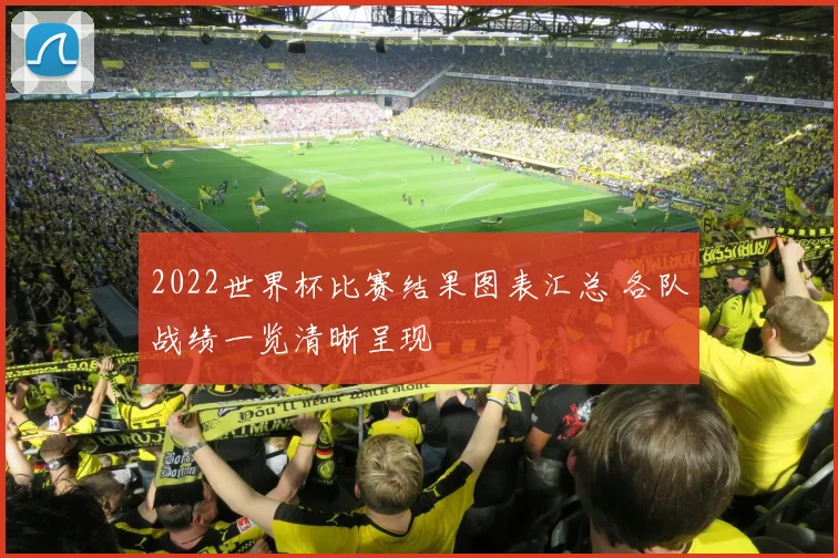 2022世界杯比赛结果图表汇总 各队战绩一览清晰呈现