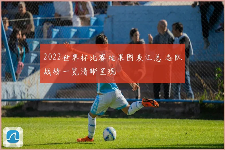 2022世界杯比赛结果图表汇总 各队战绩一览清晰呈现