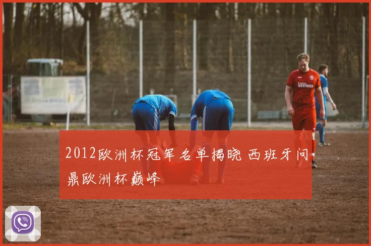 2012欧洲杯冠军名单揭晓 西班牙问鼎欧洲杯巅峰