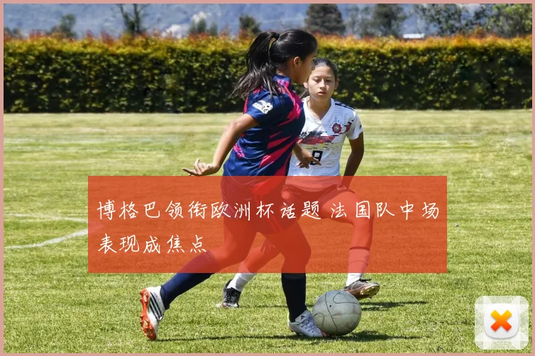 博格巴领衔欧洲杯话题 法国队中场表现成焦点