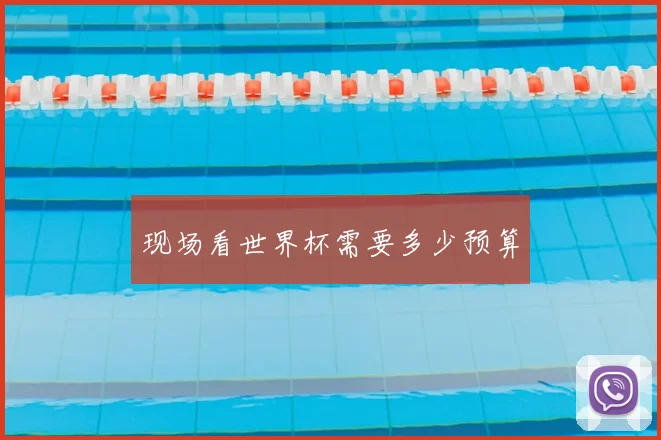 现场看世界杯需要多少预算