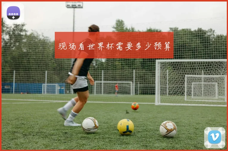 现场看世界杯需要多少预算