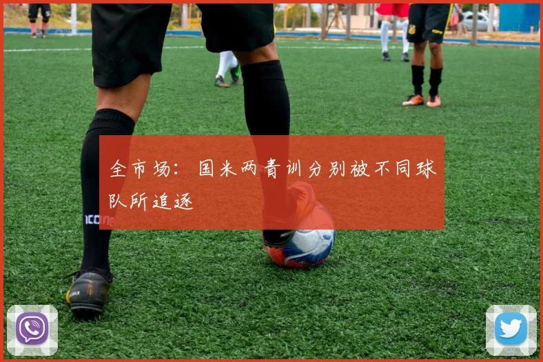 全市场:国米两青训分别被不同球队所追逐